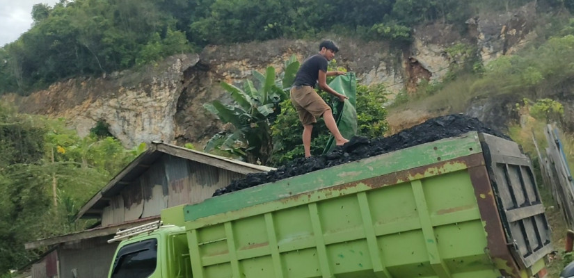 Pelaksana Tugas (Plt) Camat Teluk Pandan Anwar melaporkan dugaan tambang ilegal kepada Bupati Kutim Ardiansyah Sulaiman.