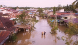 1.400 H Lahan Pertanian Rusak Terendam Banjir di Paser