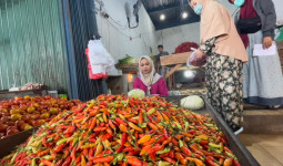 Harga Cabai Rawit di Samarinda Meroket Dua Kali Lipat Jelang Ramadan