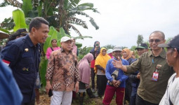 Tim Verifikasi Lapangan Tinjau Perkebunan Rakyat Kelapa Sawit di Kelurahan Sepan, Penajam Paser Utara