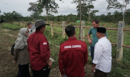 Bupati Kukar Tinjau Pusat Pengembangan Peternakan Sapi di Desa Lebaho Ulaq