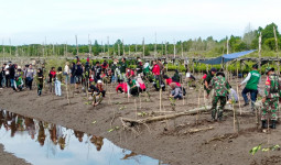 IKA Fahutan Unmul Kutim Tanam 6.000 Mangrove di Pantai Teluk Lingga