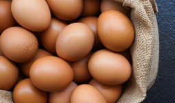 Program ASN Sumbang Telur Demi Tekan Stunting Dimulai Bulan Depan