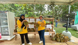 Festival Durian Rumah Ulin Arya Samarinda, Edukasi dan Cita Rasa Buah Nusantara