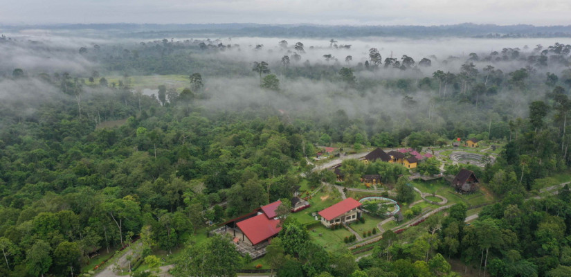 Kebun Raya Balikpapan salah satu destinasi wisata dekat IKN Nusantara di Kalimantan Timur. (Foto: Dinas Lingkungan Hidup Kota Balikpapan)
