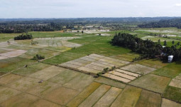 Miliki Sektor Pertanian Dalam Arti Luas, Kecamatan Loa Kulu Siap Sambut IKN