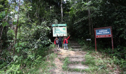 Bukit Bengkirai, Destinasi Wisata Alam yang Tawarkan Pemandangan Hutan Kalimantan
