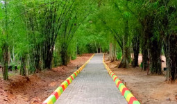 Ekowisata Bamboe Wanadesa Makin Memesona