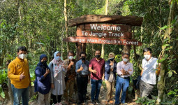 Menikmati Pesona Hutan Lindung Sungai Wain di Balikpapan