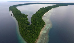 Pulau Kakaban, Destinasi Wisata Unik dan Menarik di Kalimantan Timur