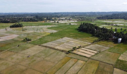 Sepanjang 32,55 Kilometer Jalan Pendukung Pertanian di Kukar Dituntaskan Tahun Ini