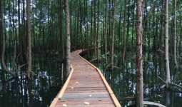Taman Nasional Kutai: Surga Alam di Kalimantan Timur