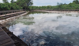 Wisata Air Panas Danum Layong, Dipercaya Bisa Sembuhkan Penyakit Kulit