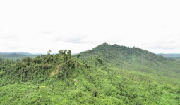 Wisata Gunung Parung IKN, Puncak Tertinggi di Ibu Kota Nusantara