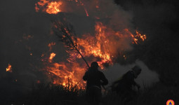 Terdakwa Kebakaran Hutan Bromo Divonis 2,5 Tahun Penjara dan Denda Rp3,5 Miliar