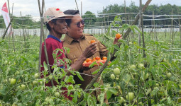 Pemkab Gelontorkan 700 Miliar Untuk Genjot Pertanian di Kukar Sebagai Lumbung Pangan IKN
