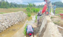 Jaringan Irigasi di Kukar Terus Dibangun Untuk Tingkatkan Hasil Produksi Pertanian