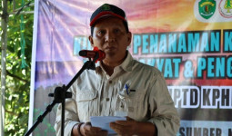 Program Penanaman Hutan Rakyat UPTD KPHP Meratus Diapresiasi Pemkab Kukar