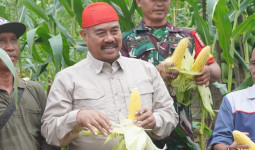 OPD yang Berkaitan Dengan Pertanian dan Pangan Diminta Aktif Turun Lapangan, Diskusi Soal Data