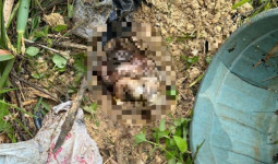 Niat Bakar Sampah, Warga Malah Temukan Jasad Bayi Dalam Kresek