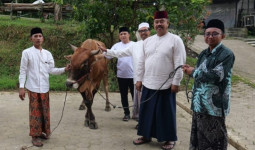 Penyerahan Sapi Kurban untuk Ponpes di Tenggarong Seberang