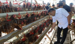 Apresiasi Inovasi Peternakan hingga Program RTLH di Loa Janan