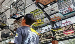 Lomba Kicau Burung di Kukar akan Jadi Agenda Tahunan