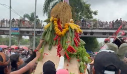 Pawai HUT RI ke-80, Anggana Angkat Tema Budaya dan Hasil Bumi