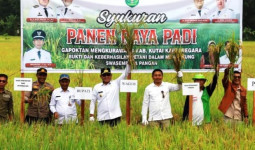 Panen Raya, Kukar Teguhkan Posisi Sebagai Lumbung Pangan di Kaltim