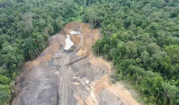 Tersangka Tambang Ilegal di KRUS Unmul Bebas Lewat Praperadilan