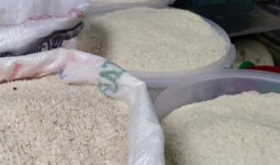 Beras Oplosan Beredar, Disperindag Kukar Minta Masyarakat Bijak Memilih