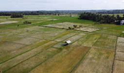 Kukar Bangun Ekosistem Pertanian untuk Meningkatkan Produktivitas