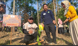 Unmul Libatkan 500 Mahasiswa Tanam 1.010 Kopi Liberika di IKN, Pecahkan Rekor MURI