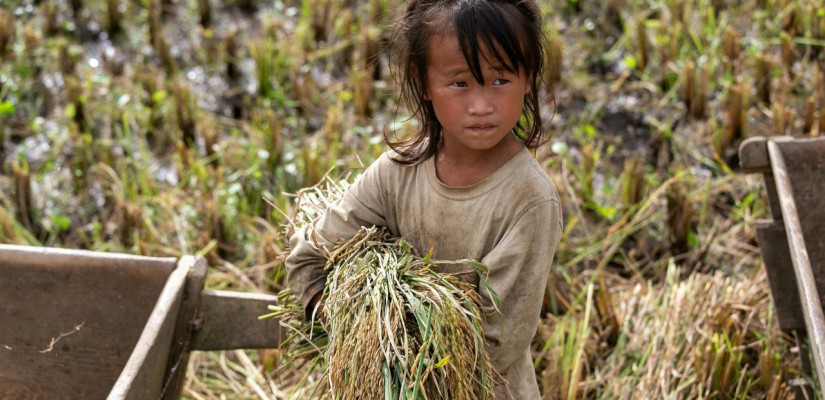 Balikpapan Kota Tertinggi Pekerja Usia Anak di Kaltim, Jumlahnya Capai 8.248 Jiwa