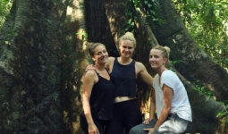 Wisatawan Mancanegara ke Taman Nasional Kutai Terus Meningkat dalam 3 Tahun Terakhir