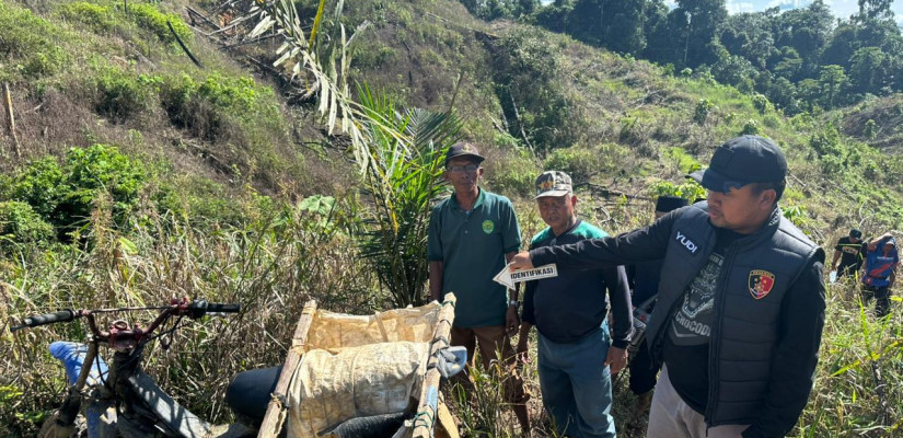 Nahas, Warga Bengalon Tewas Tertimpa Pohon Ulin Saat Menebang di Kebun Sendiri