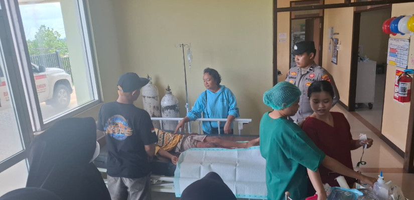 Nenek Asal Bengalon Duel Lawan Buaya Demi Selamatkan Cucu