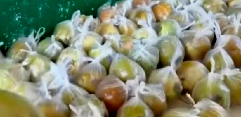 Beri Kelapa Utuh untuk Siswa, SPPG Gas Alam Badak I Dihentikan