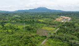 Amankan Proyek Strategis di Perbatasan, PLN Gandeng Kejaksaan Kawal Pembangunan SUTT 150 kV Tidang Pale–Malinau