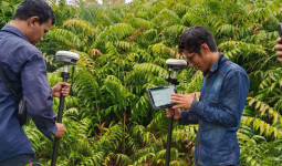 PLN UIP KLT Gandeng Kantah Berau Perkuat Legalitas Lahan Tower Transmisi