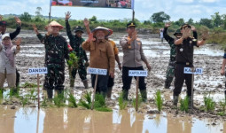 Wabup Berau Ikuti Tanam Padi Serentak, Cetak Sawah 425 Hektare Dipercepat