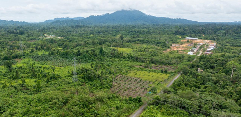 Ilustrasi bentangan jaringan kelistrikan PLN di Kabupaten Paser sebagai bagian dari aset yang terus diperkuat legalitas dan kepastian hukumnya melalui tertib administrasi pertanahan. Foto: Ist