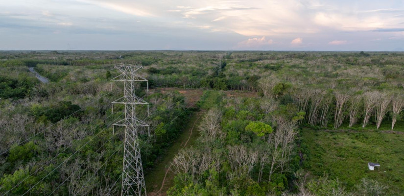 Ilustrasi jaringan SUTT 150 kV di wilayah kerja PLN UIP Kalimantan. Foto: Ist