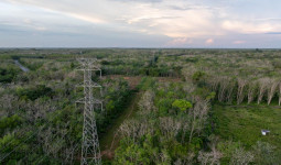 Perkuat Aspek Legalitas, PLN UIP KLT Amankan Sertipikat HGB 4 Tower SUTT 150 kV di Kotabaru