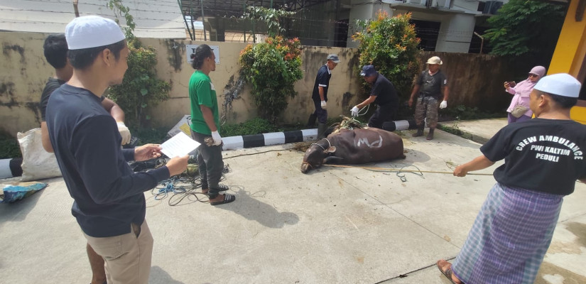 PWI Kaltim Berbagi Hewan Kurban, Prioritaskan Anggota Senior