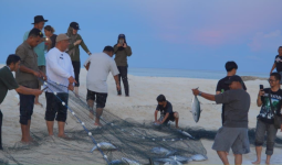 Tradisi Mukat "Sobat" Derawan Didorong Jadi Wisata Bahari Berbasis Budaya
