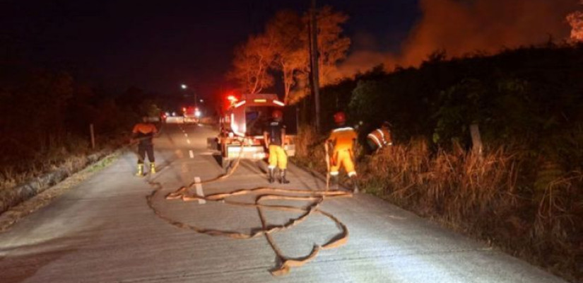 944,6 Hektare Lahan di Kaltim Terbakar, Berau Catat Kerusakan Terluas