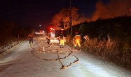 944,6 Hektare Lahan di Kaltim Terbakar, Berau Catat Kerusakan Terluas