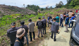Data SI PATUH Jadi Basis DLH Bulungan Tentukan Lokasi Rehabilitasi Hutan dan Lahan
