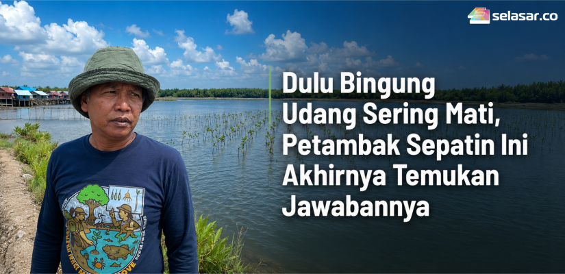 Dulu Bingung Udang Sering Mati, Petambak Sepatin Ini Akhirnya Temukan Jawabannya